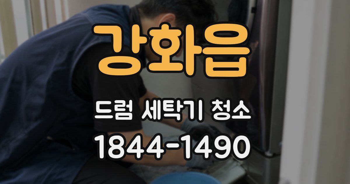 강화읍 드럼 세탁기 청소