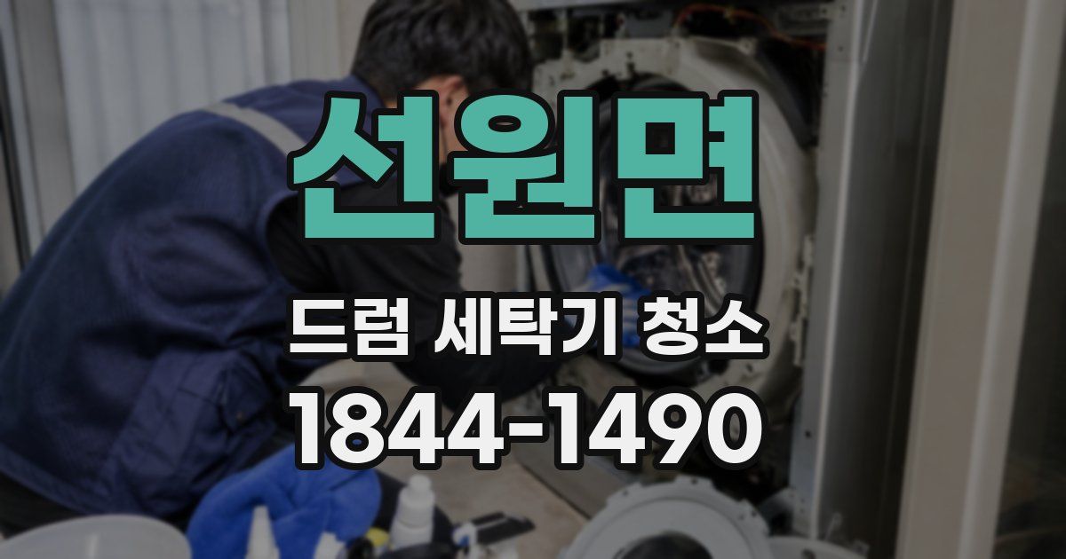 선원면 드럼 세탁기 청소