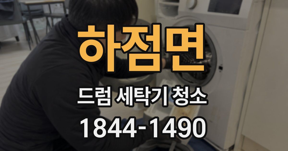 하점면 드럼 세탁기 청소