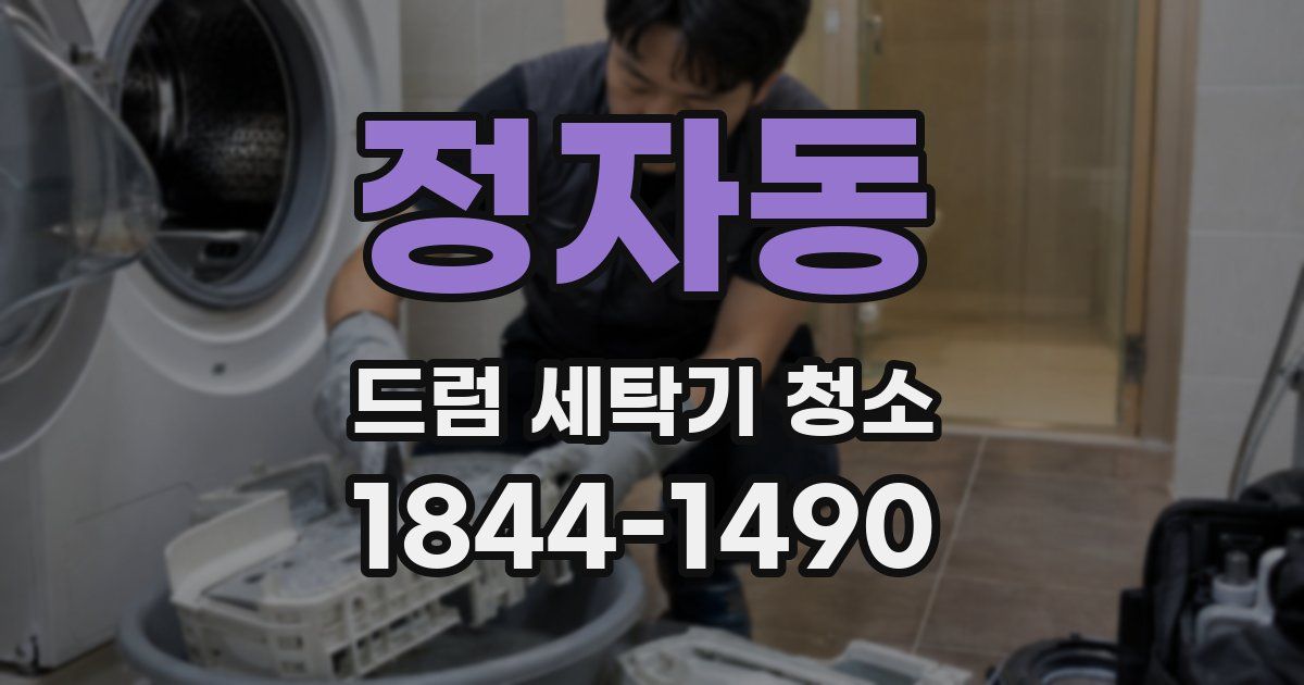 정자동 드럼 세탁기 청소