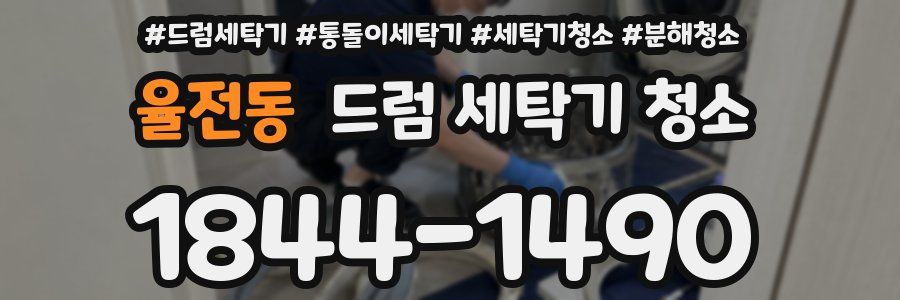 율전동 드럼 세탁기 청소