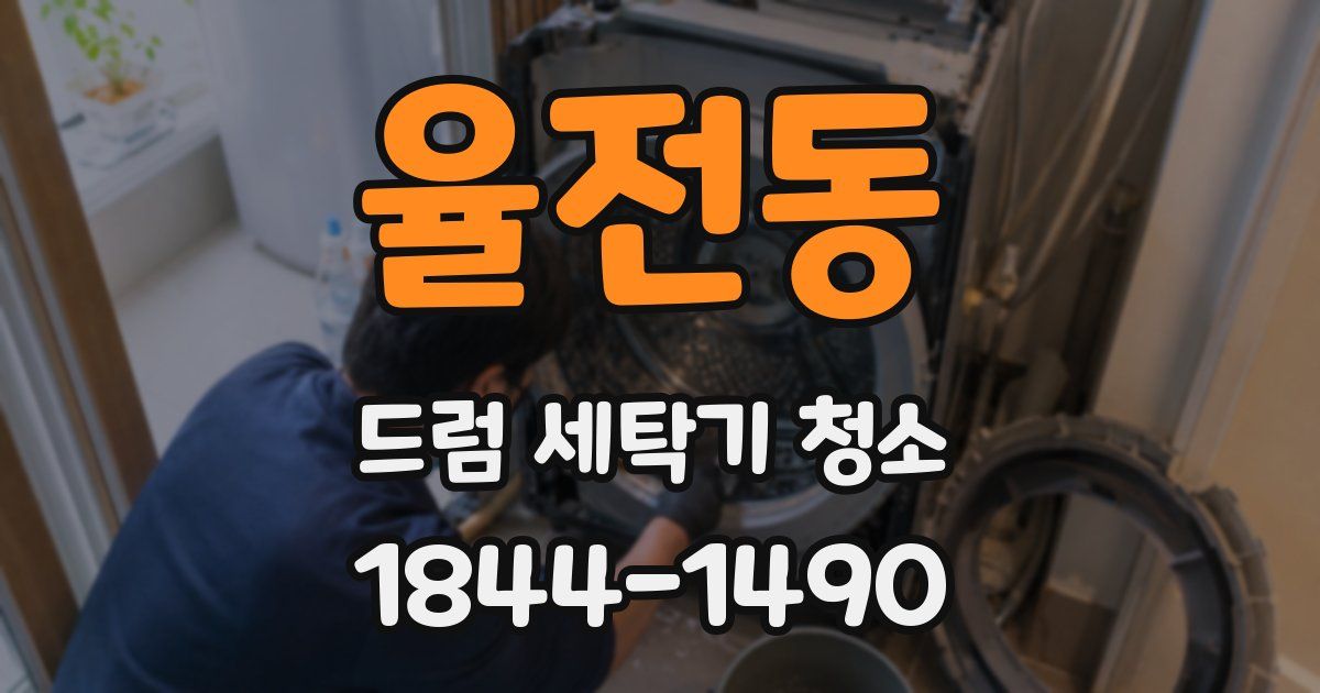 율전동 드럼 세탁기 청소