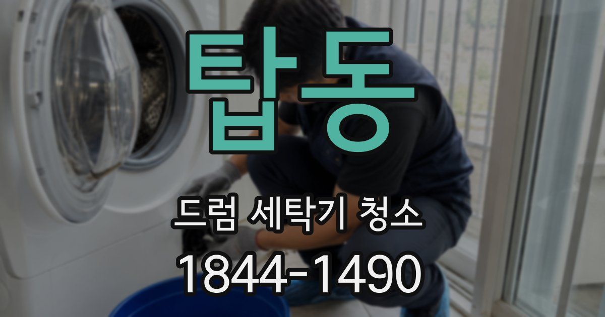 탑동 드럼 세탁기 청소