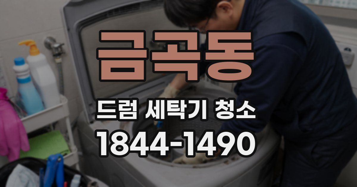 금곡동 드럼 세탁기 청소
