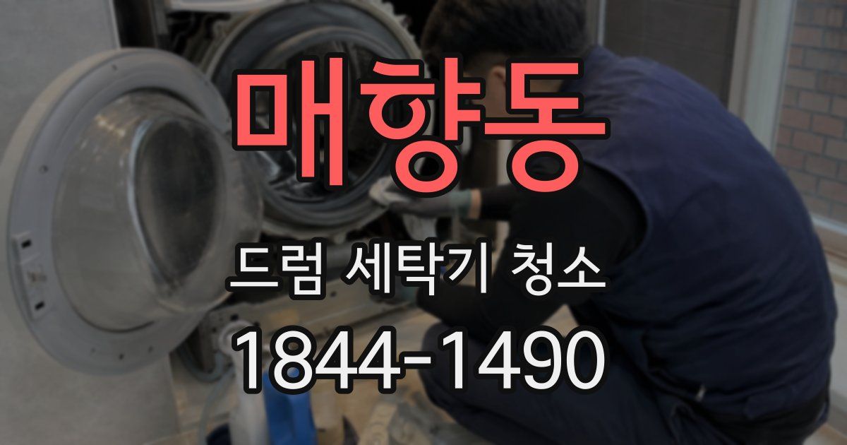 매향동 드럼 세탁기 청소