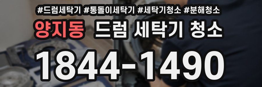 양지동 드럼 세탁기 청소