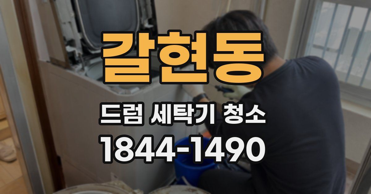 갈현동 드럼 세탁기 청소