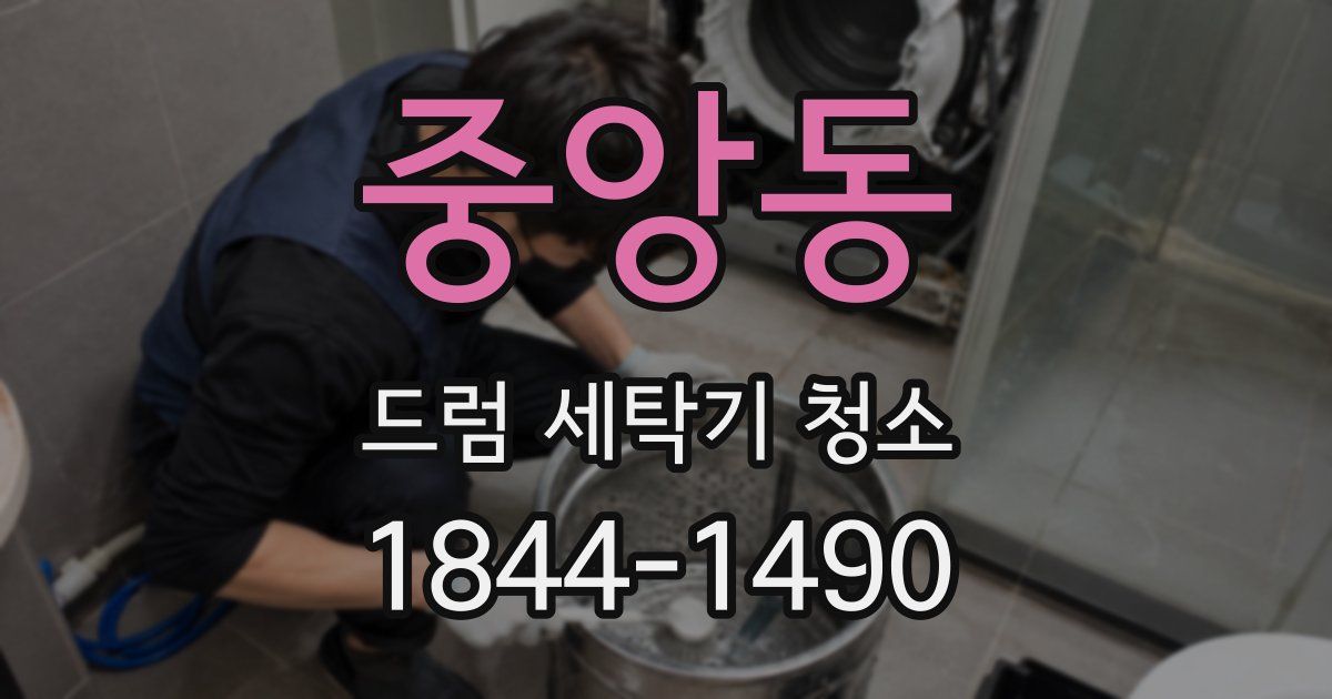 중앙동 드럼 세탁기 청소