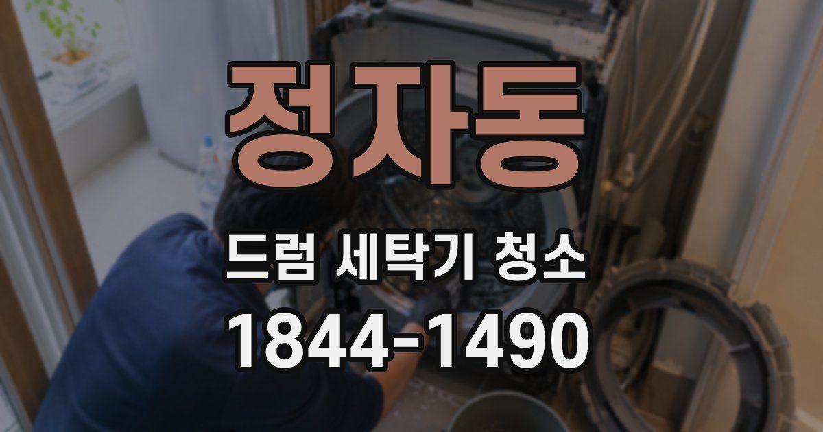 정자동 드럼 세탁기 청소