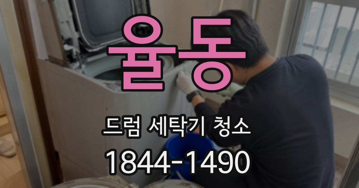 율동 드럼 세탁기 청소
