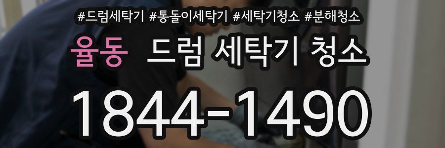 율동 드럼 세탁기 청소