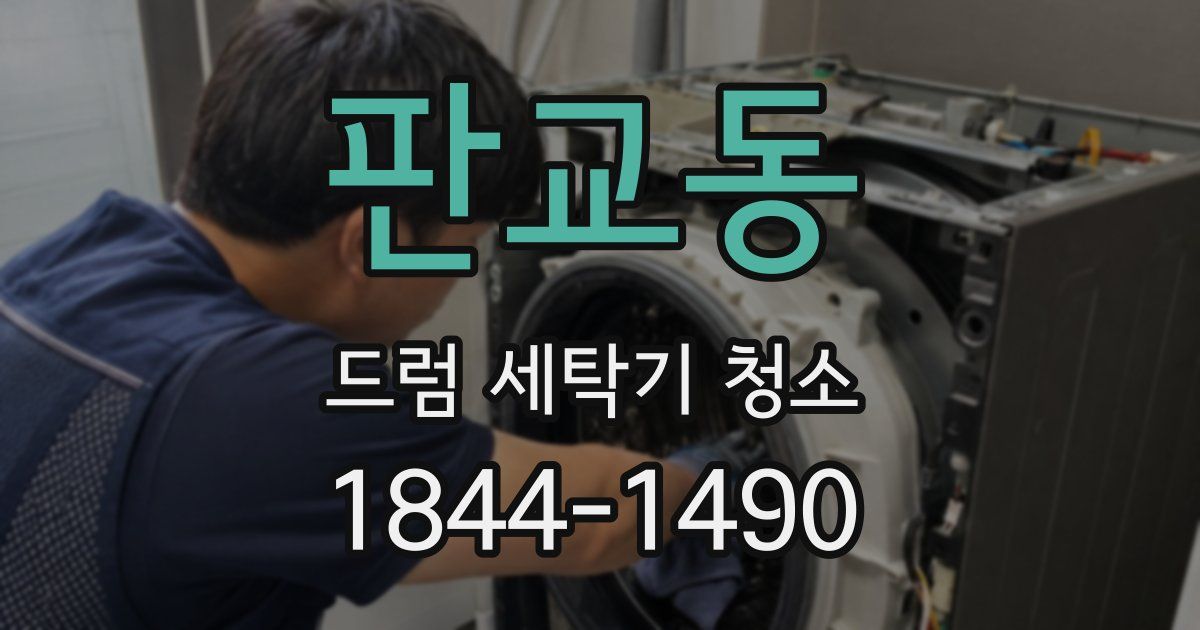 판교동 드럼 세탁기 청소