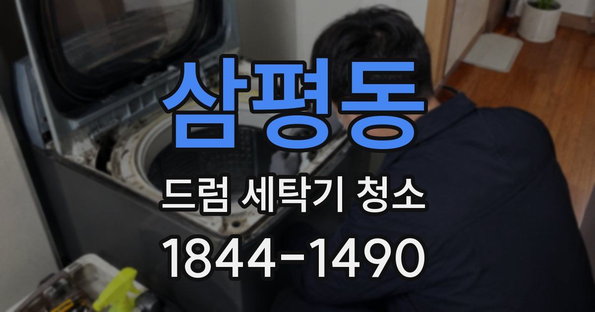 삼평동 드럼 세탁기 청소