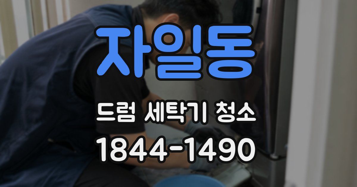 자일동 드럼 세탁기 청소