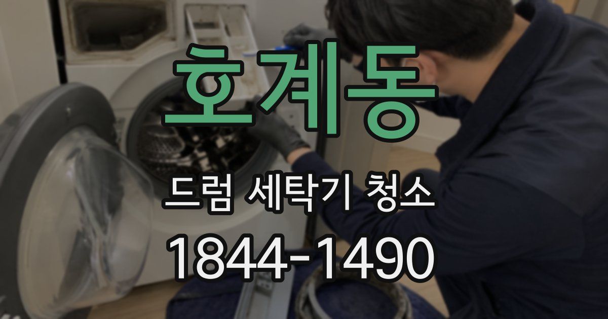 호계동 드럼 세탁기 청소