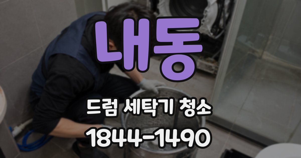 내동 드럼 세탁기 청소