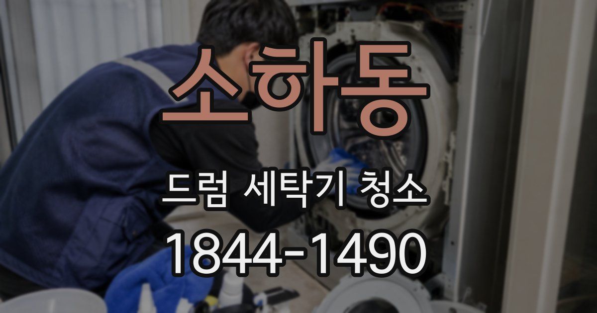 소하동 드럼 세탁기 청소