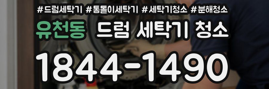 유천동 드럼 세탁기 청소