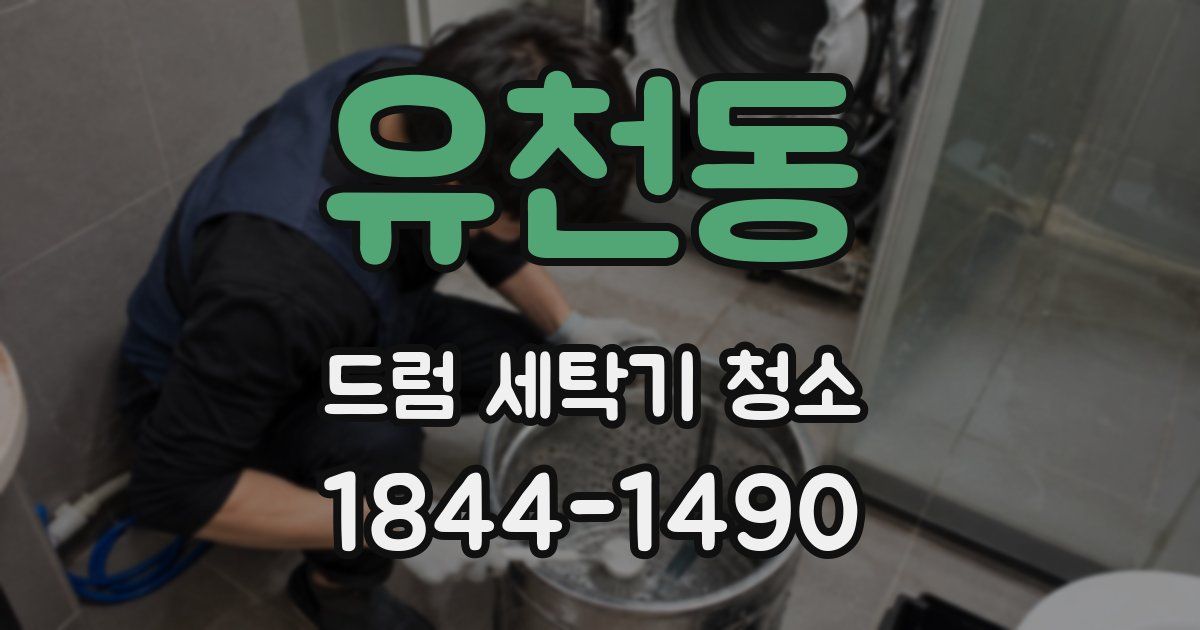 유천동 드럼 세탁기 청소