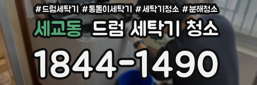 세교동 드럼 세탁기 청소