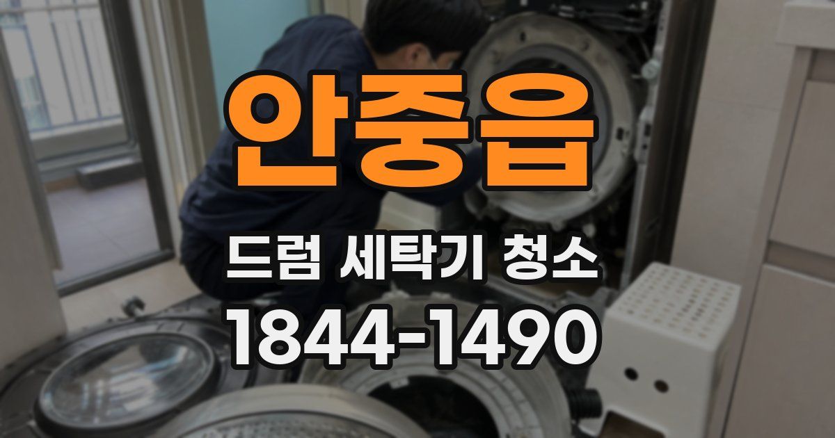 안중읍 드럼 세탁기 청소