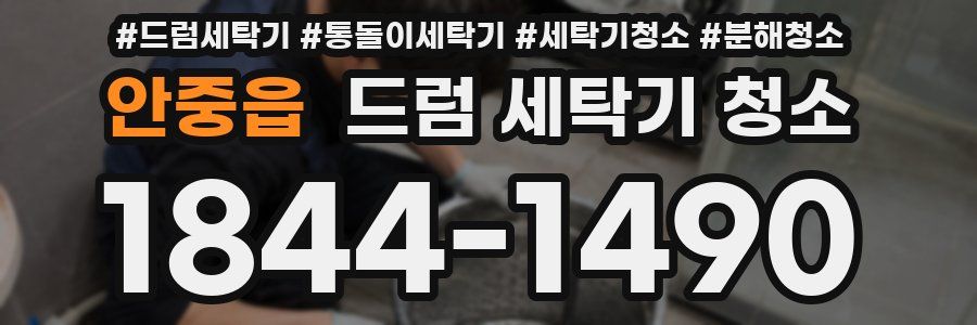 안중읍 드럼 세탁기 청소