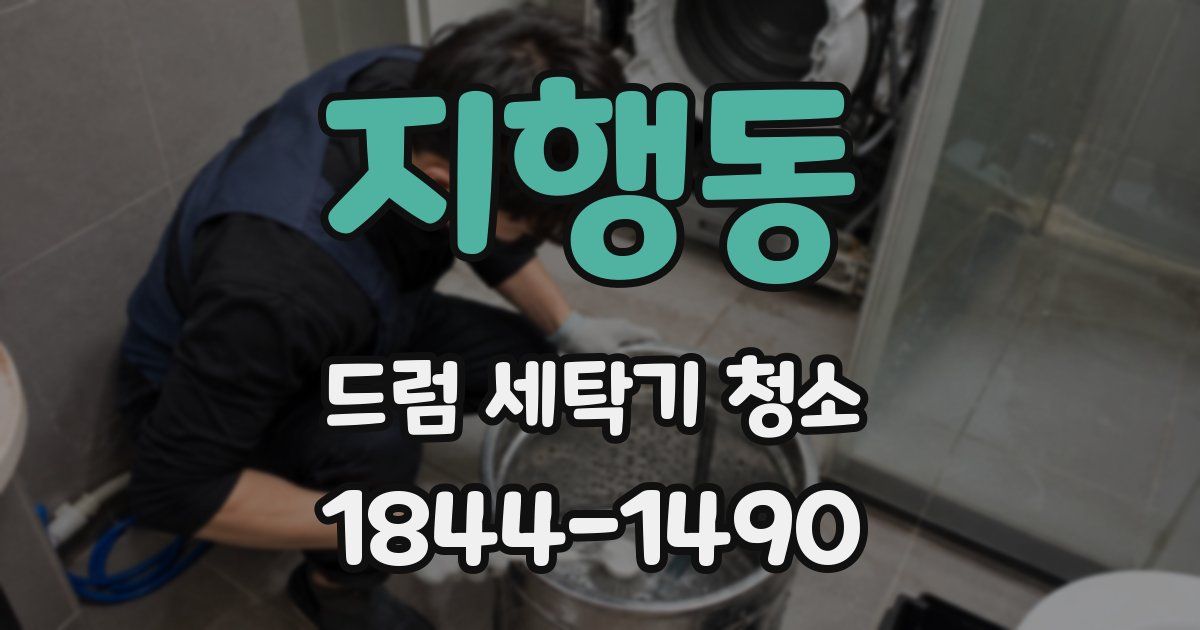 지행동 드럼 세탁기 청소