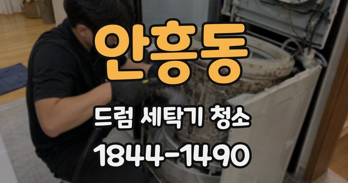 안흥동 드럼 세탁기 청소