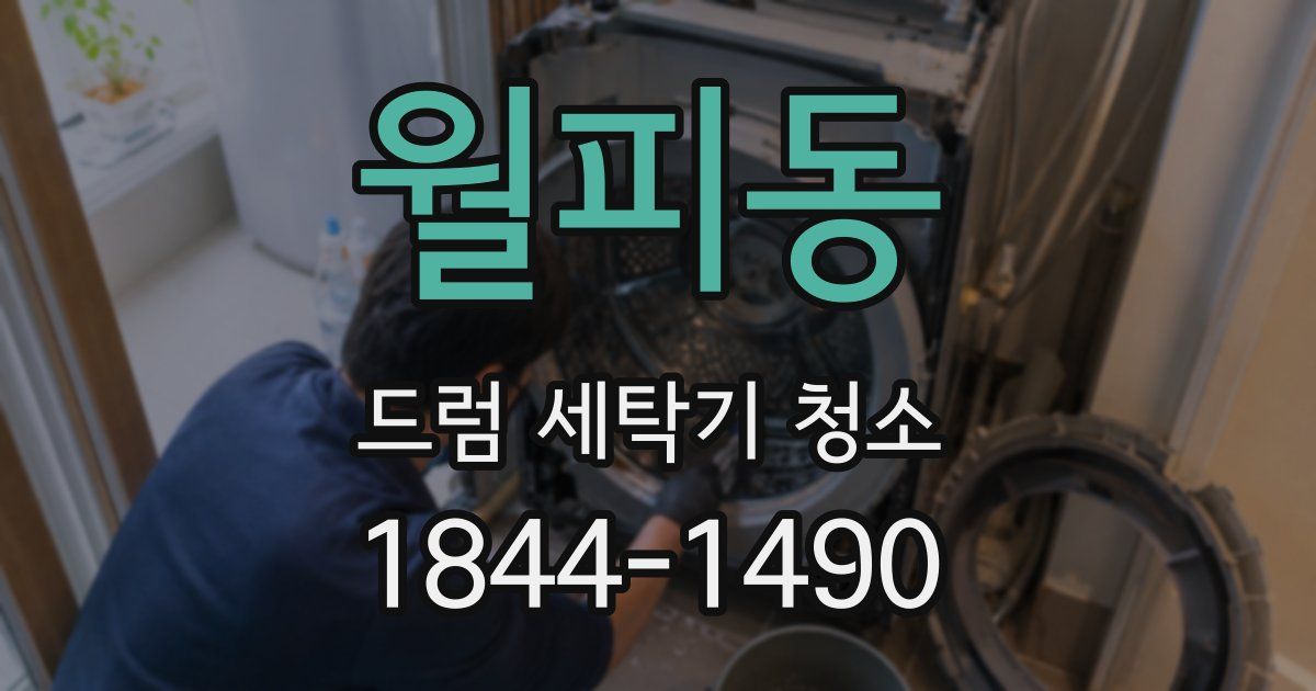 월피동 드럼 세탁기 청소