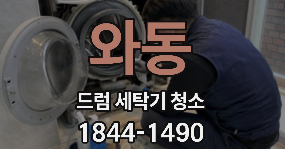 와동 드럼 세탁기 청소