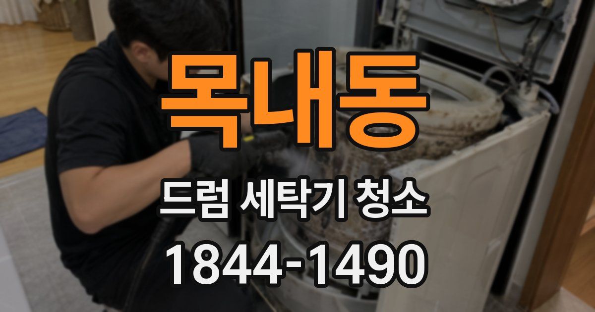 목내동 드럼 세탁기 청소