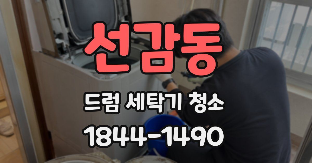 선감동 드럼 세탁기 청소
