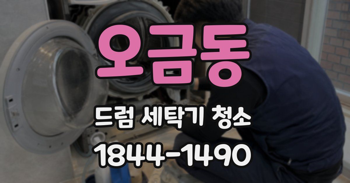 오금동 드럼 세탁기 청소