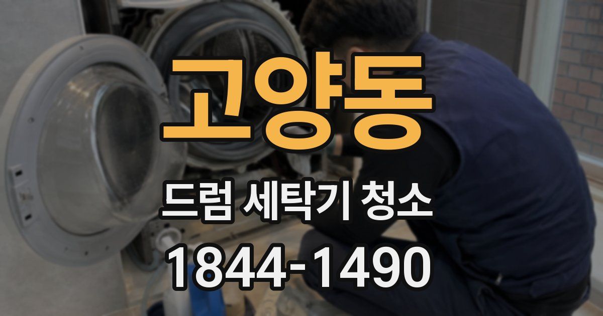 고양동 드럼 세탁기 청소