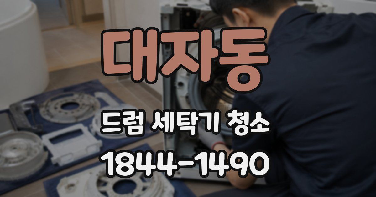 대자동 드럼 세탁기 청소