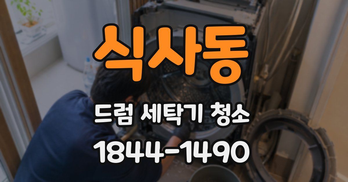 식사동 드럼 세탁기 청소
