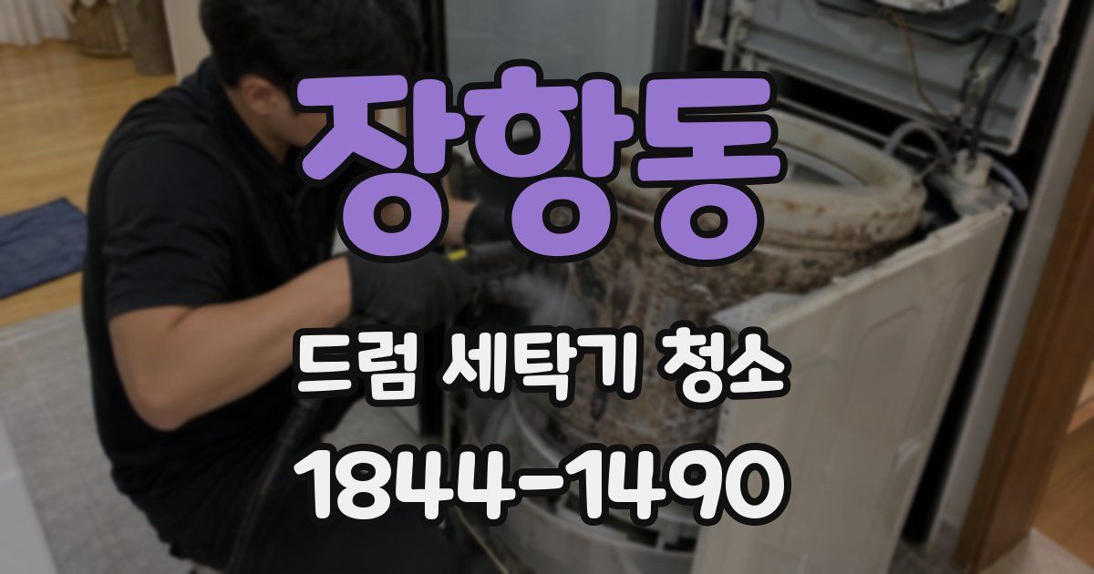 장항동 드럼 세탁기 청소