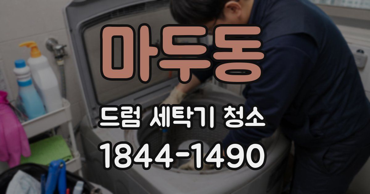 마두동 드럼 세탁기 청소