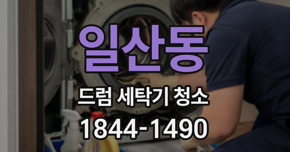 일산동 드럼 세탁기 청소