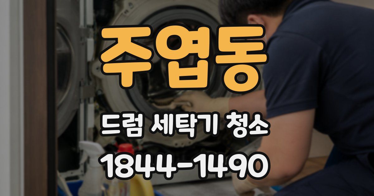주엽동 드럼 세탁기 청소