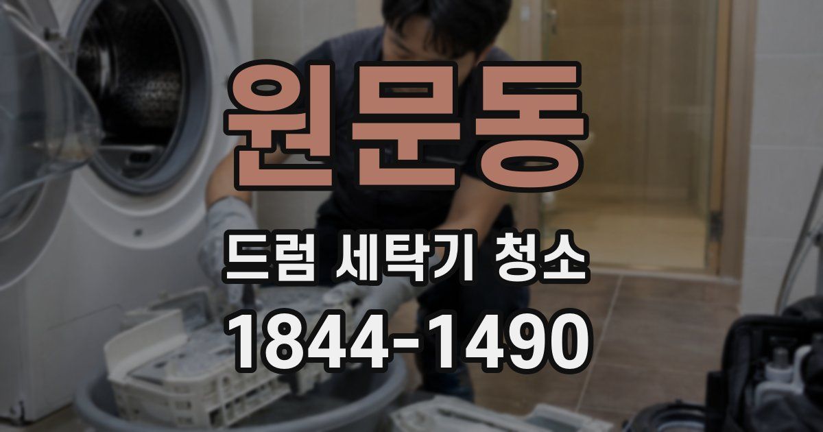 원문동 드럼 세탁기 청소