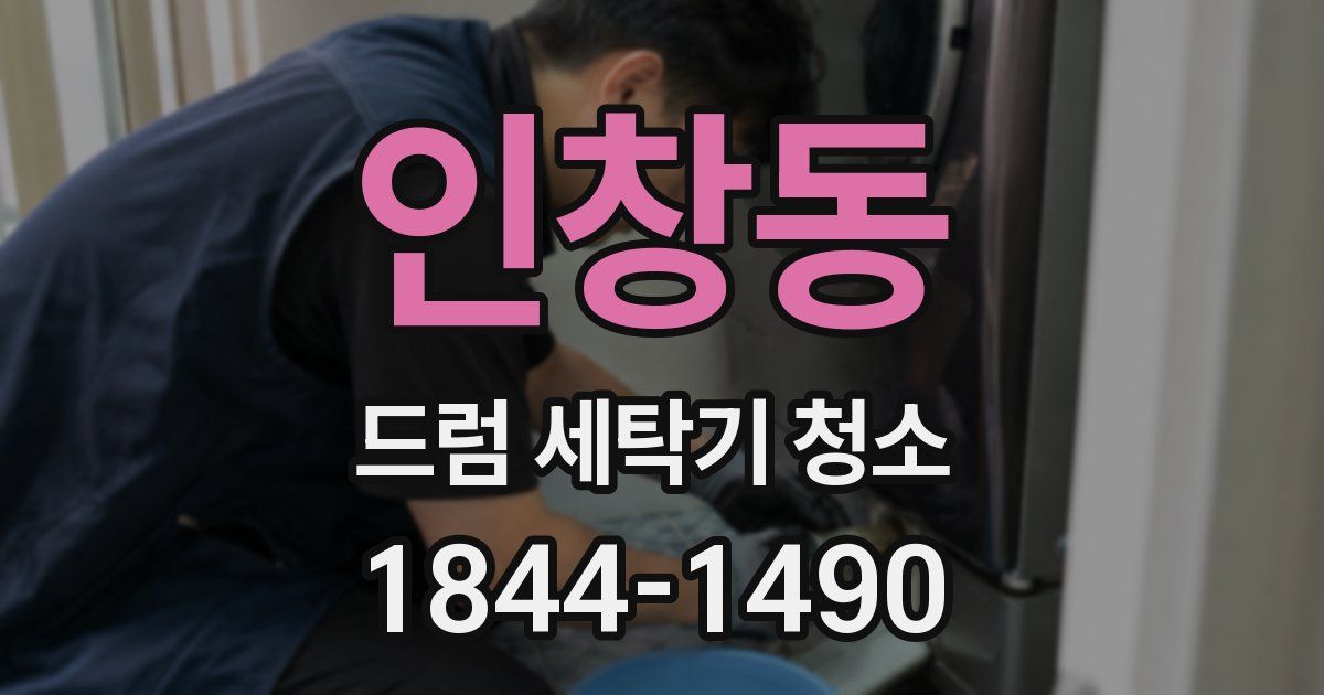 인창동 드럼 세탁기 청소