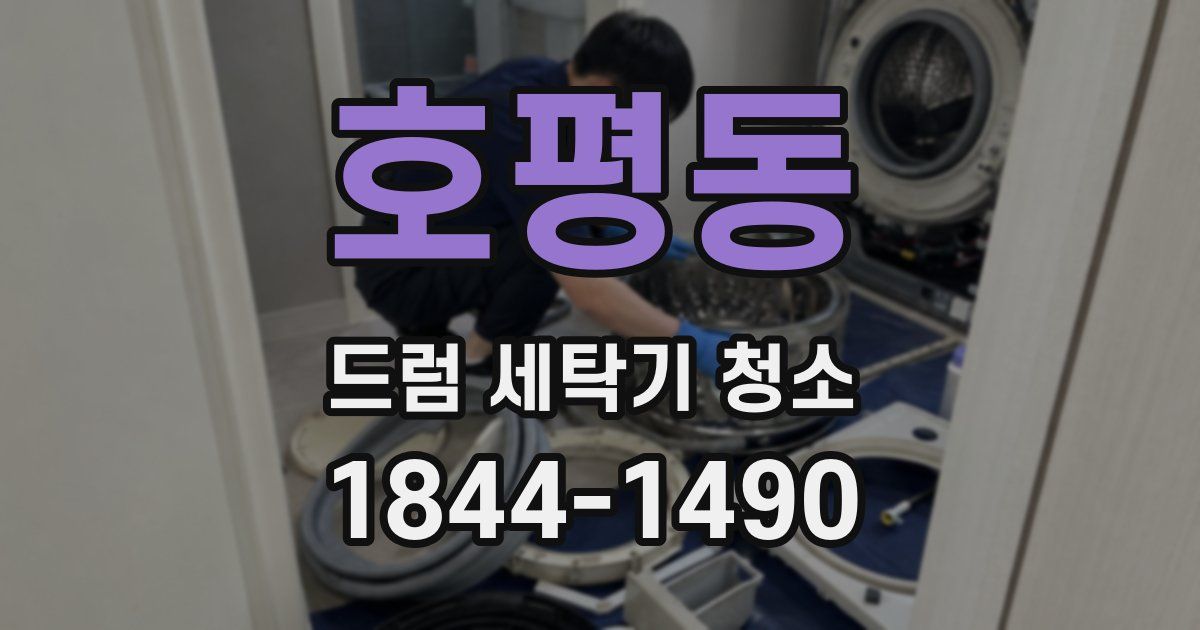 호평동 드럼 세탁기 청소
