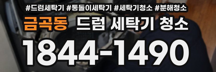 금곡동 드럼 세탁기 청소