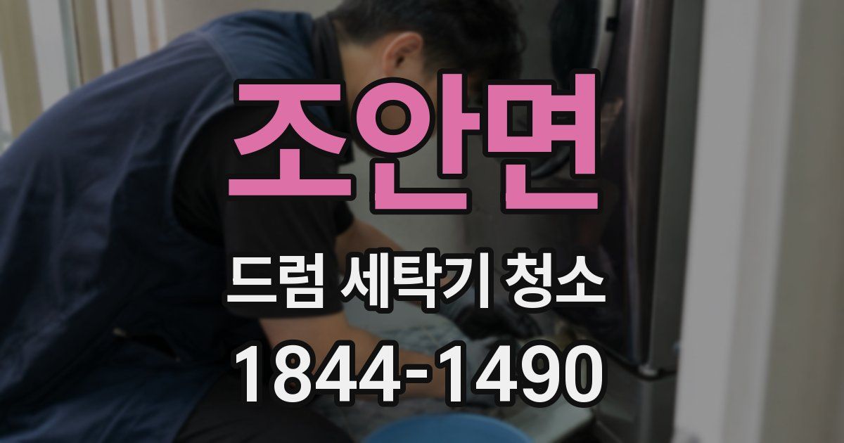 조안면 드럼 세탁기 청소