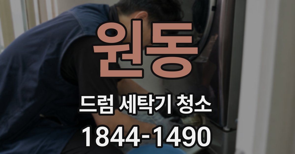원동 드럼 세탁기 청소