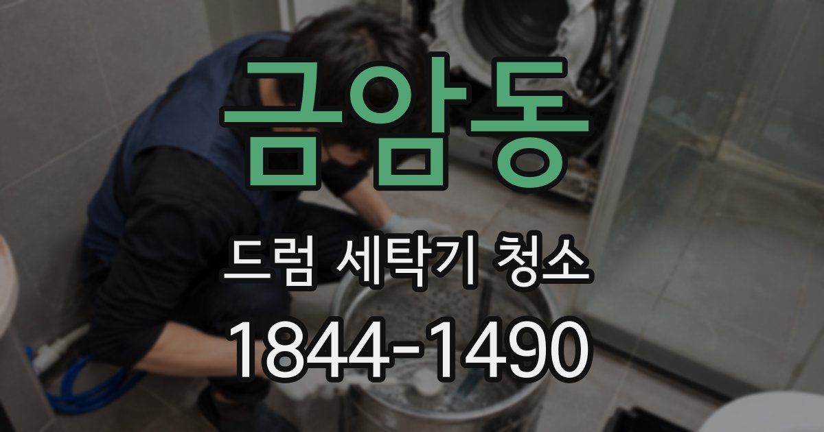 금암동 드럼 세탁기 청소