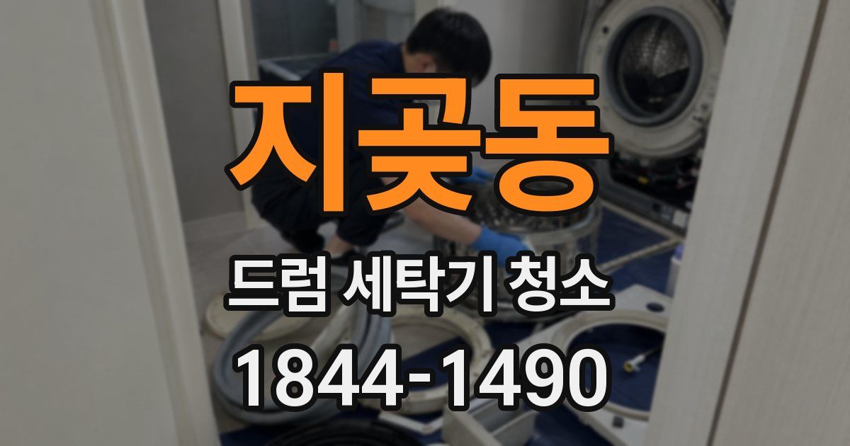지곶동 드럼 세탁기 청소