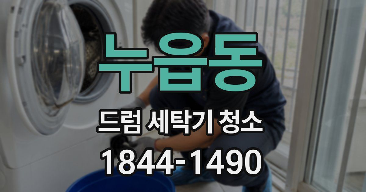 누읍동 드럼 세탁기 청소