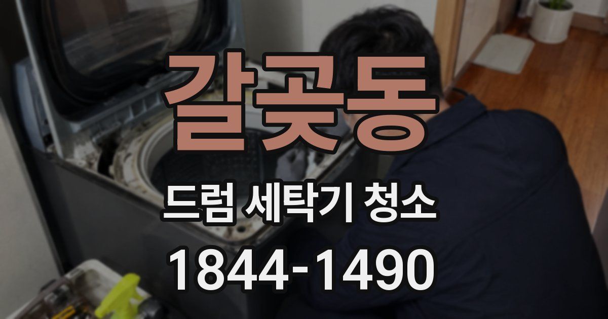 갈곶동 드럼 세탁기 청소